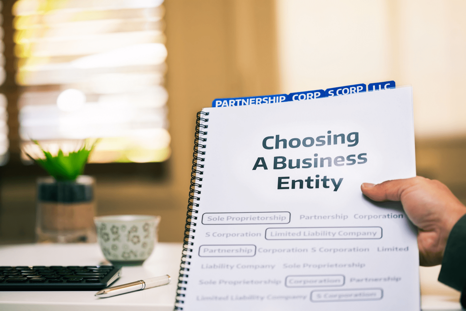 Comparing Different Options to Legally Set Up Your Behavioral Health Practice