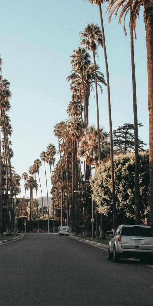 Multi Payment-Type Insurances in Los Angeles