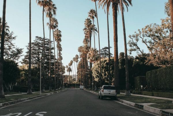 Multi Payment-Type Insurances in Los Angeles